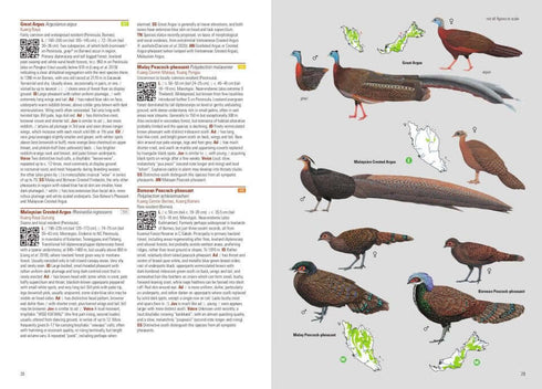 Birds of Malaysia,  Puan, Davison ja Lim 2020, flexi